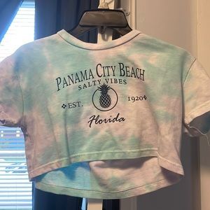 Panama City beach crop.